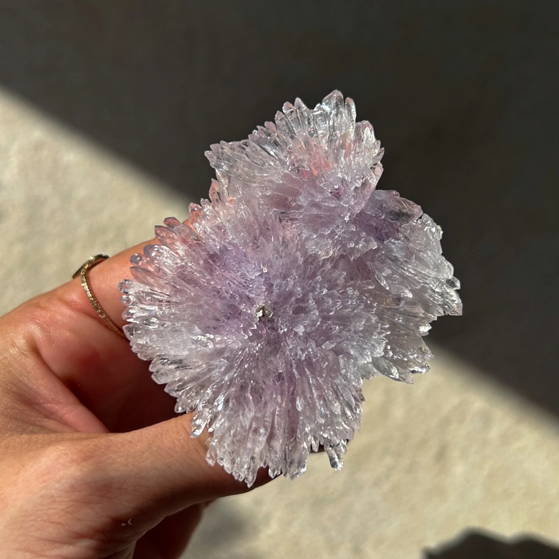 fiore di Ametista